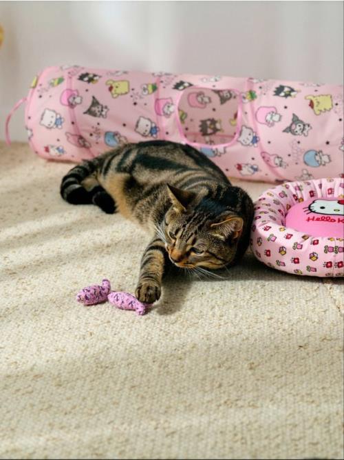 Sinsay - Hračka pre mačku 2 pack Hello Kitty - viacfarebná
