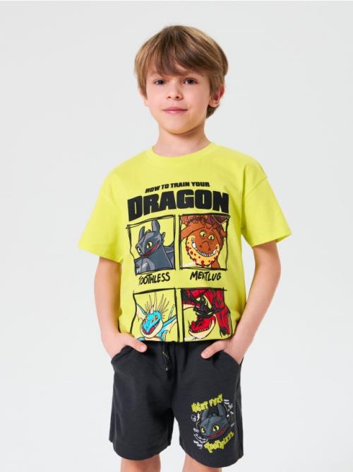 Sinsay - Kraťasy How to train your dragon - antracitová