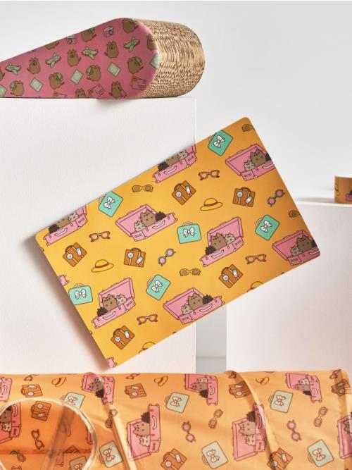 Sinsay - Podložka pod misky pre zvieratá Pusheen - viacfarebná