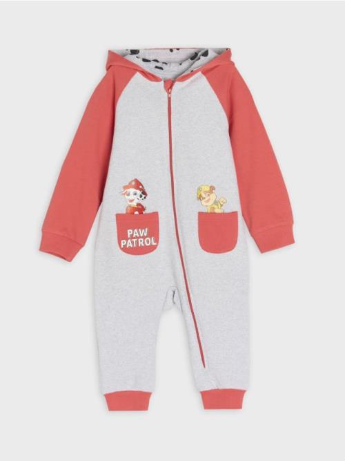 Sinsay - Dupačky PAW Patrol - svetlošedá