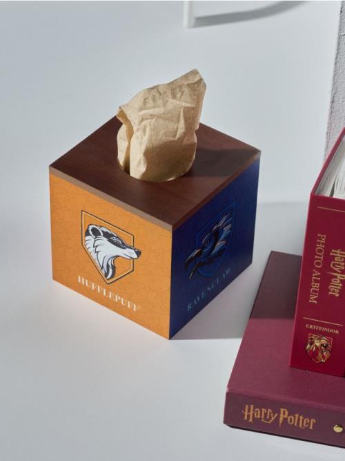 Sinsay - Kryt na papierové vreckovky Harry Potter - viacfarebná