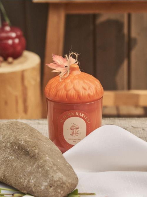 Sinsay - Sviečka Autumn Harvest - medená
