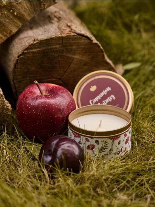 Sinsay - Sviečka Cinamon Nutmeg - lilavá